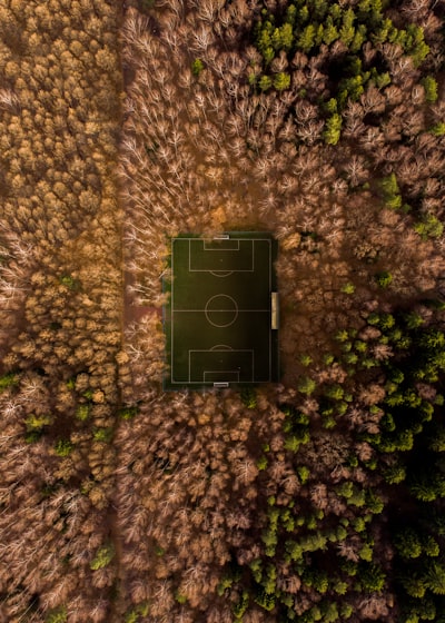 مشاهدة مباشرة مباراة الزمالك ونهضة بركانكل ما تحتاج معرفته