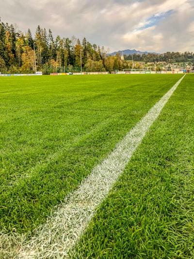 الكتابةفيالإكسلدليلشامللاستخدامExcelفيتحريرالنصوص
